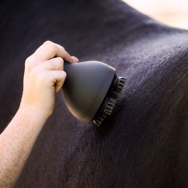 Imperial Riding  massage, grooming og relaxing brush