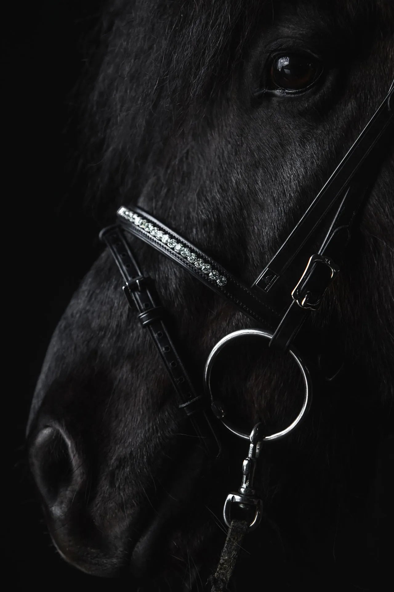 Topreiter Demantur Næsebånd kombineret