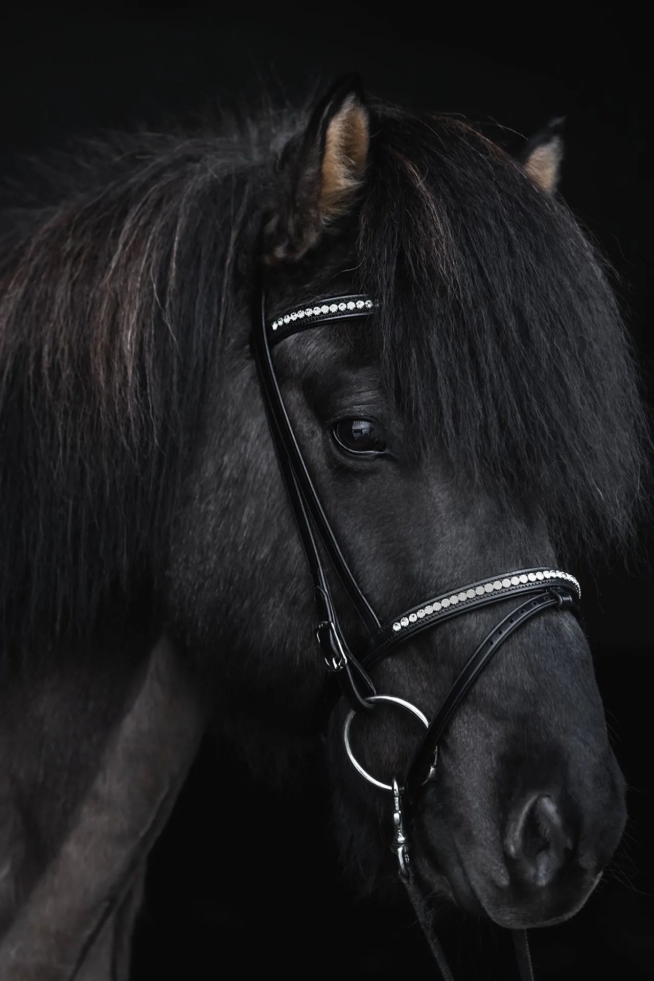 Topreiter Demantur Næsebånd kombineret