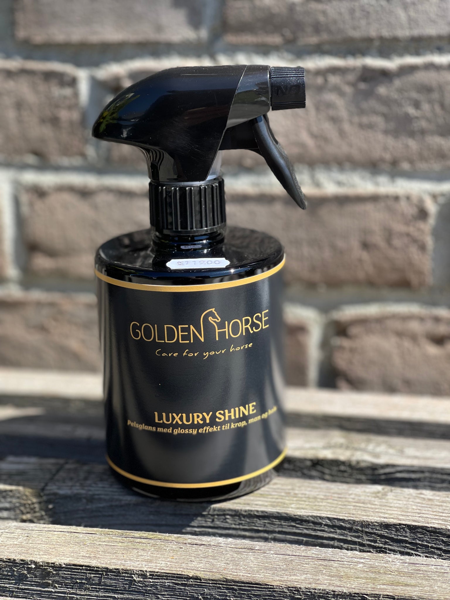 Golden Horse Luxury Shine