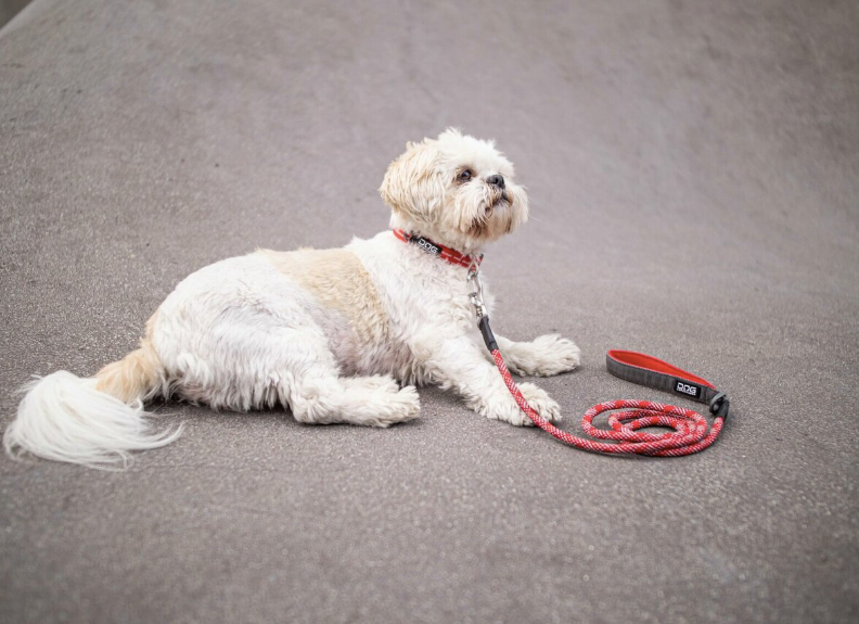 Dog Copenhagen Urban Rope™ Line FLERE FARVER