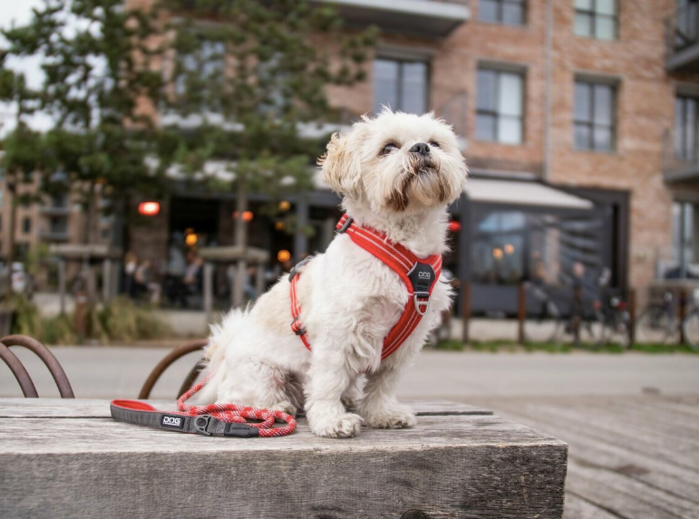 Dog Copenhagen Urban Rope™ Line FLERE FARVER